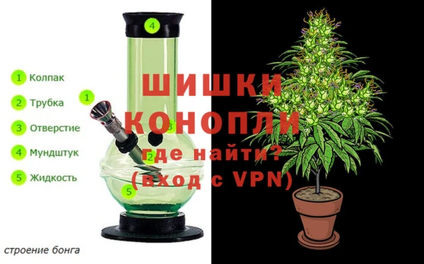 гидропоника Белокуриха